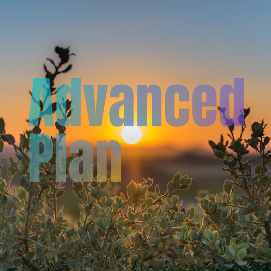 Advanced package